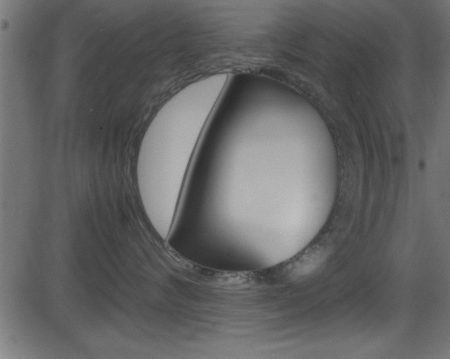 X0000081590624200701151027