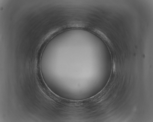 X0000081590627200701151027