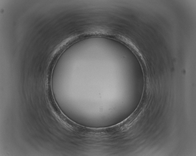 X0000081590629200701151027