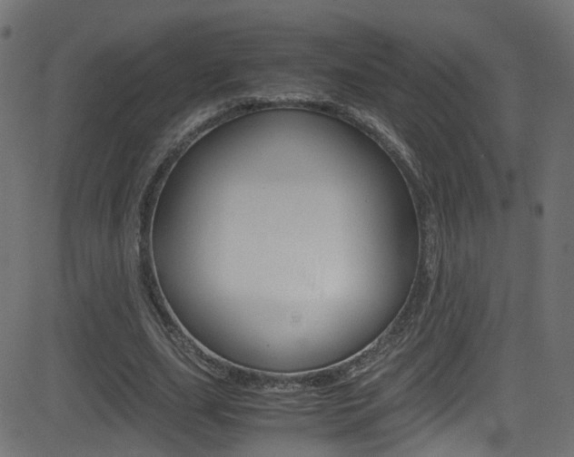 X0000081590631200701151027