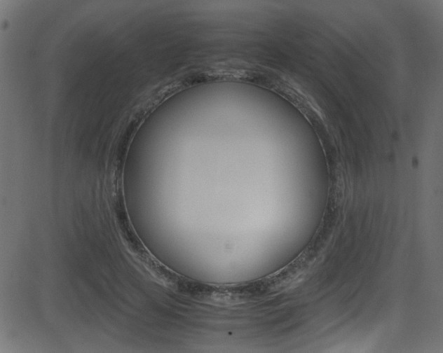 X0000081590641200701151027