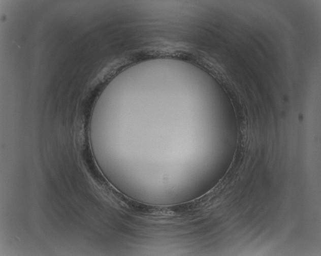 X0000081590642200701151027