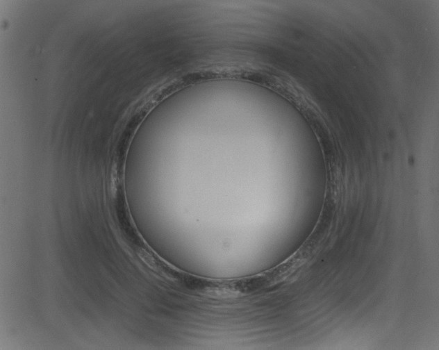 X0000081590644200701151027