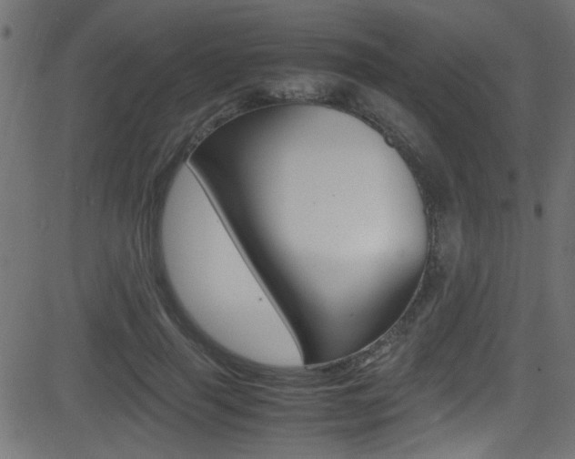 X0000081590645200701151027