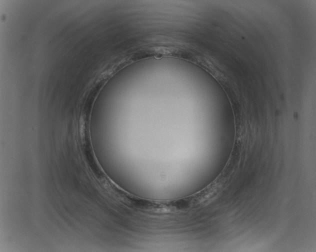 X0000081590646200701151027