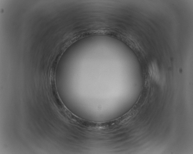 X0000081590647200701151027