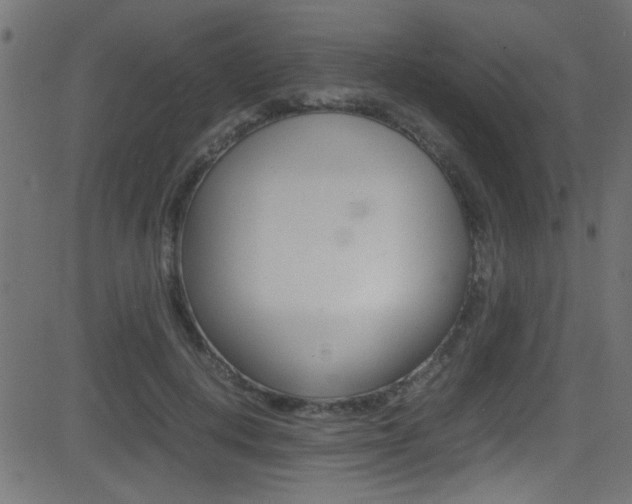 X0000081590648200701151027
