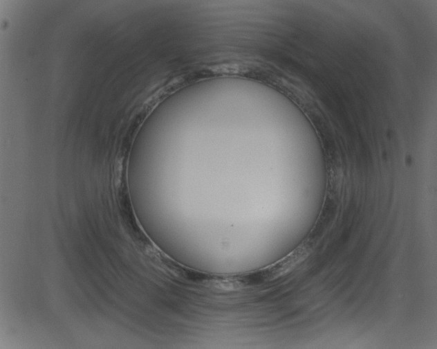 X0000081590652200701151027