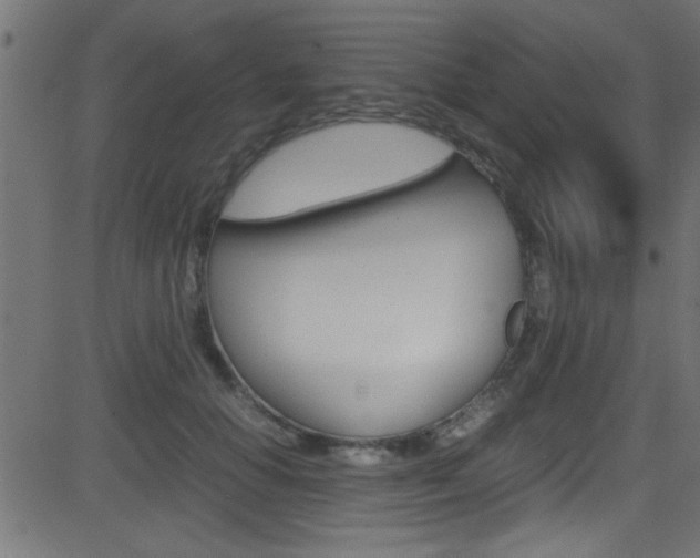 X0000081590654200701151027