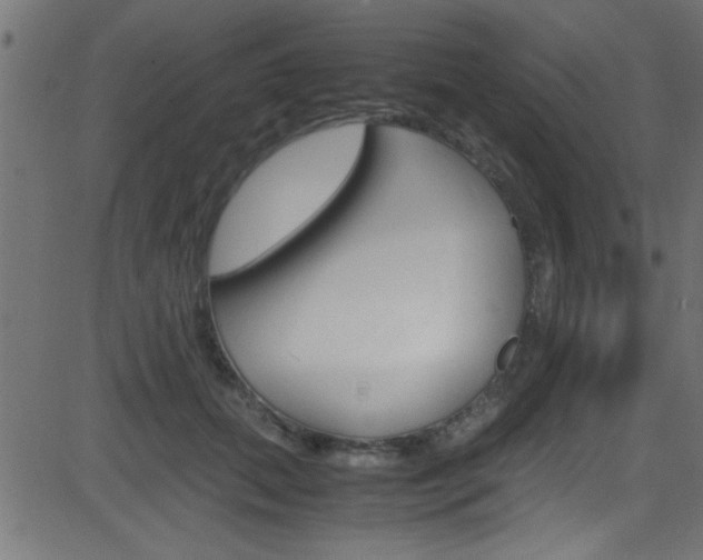 X0000081590655200701151027