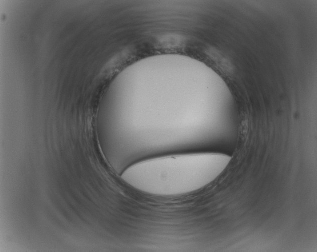 X0000081590662200701151027