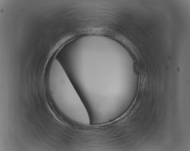 X0000081590674200701151027
