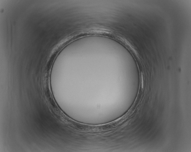 X0000081590675200701151027