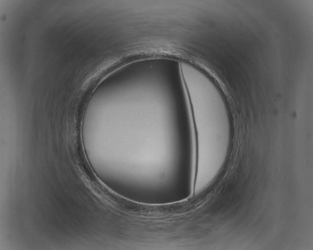 X0000081590677200701151026