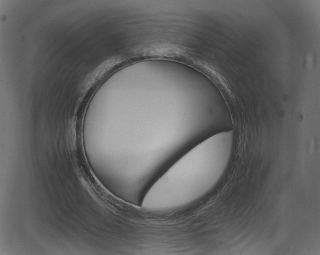 X0000081590678200701151026