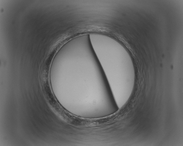 X0000081590683200701151026