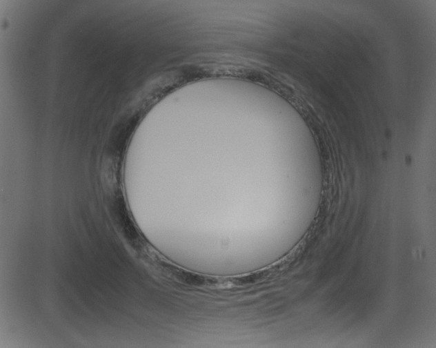 X0000081590695200701151026