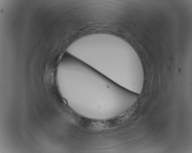X0000081590703200701151026