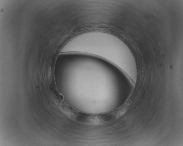 X0000081590704200701151026