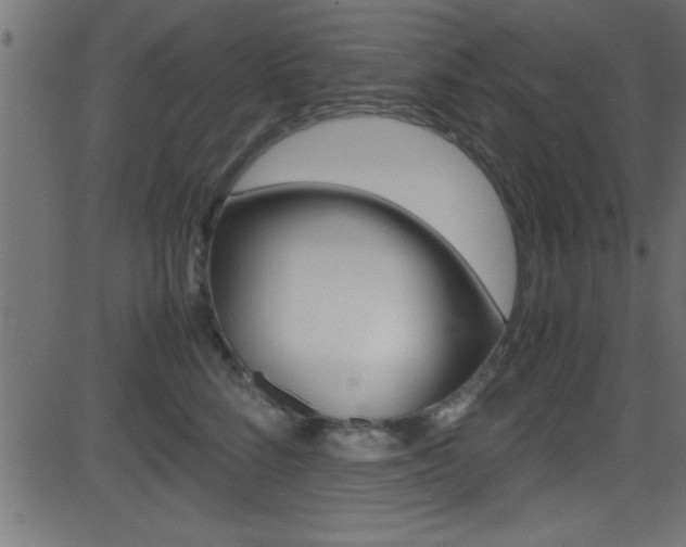 X0000081590712200701151026