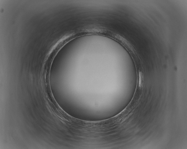 X0000081590723200701151025