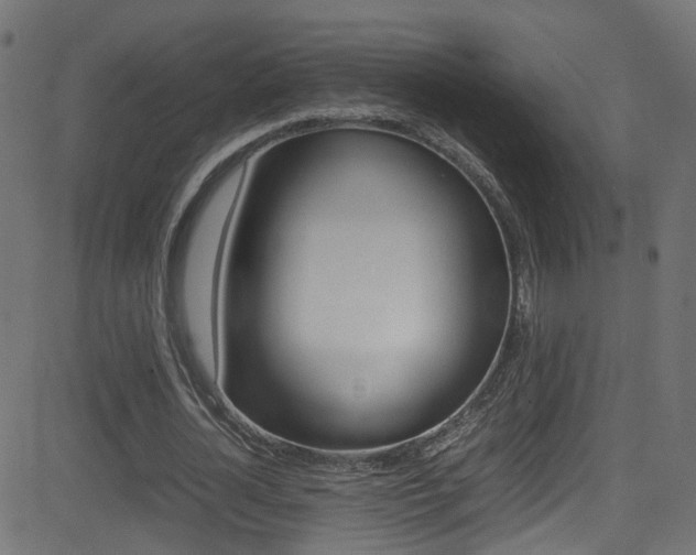 X0000081590724200701151025