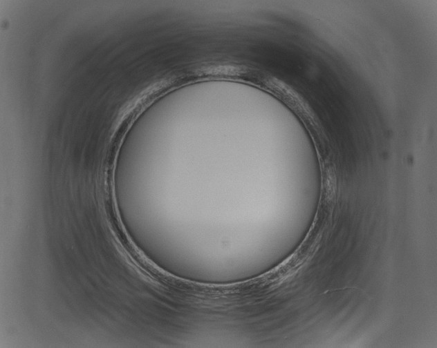 X0000081590725200701151025