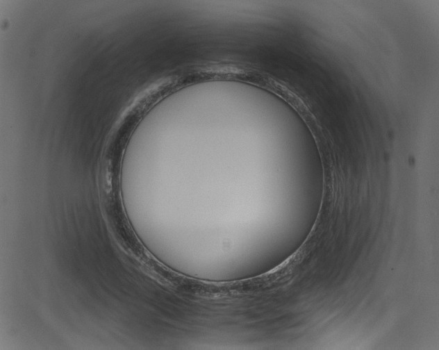 X0000081590731200701151025