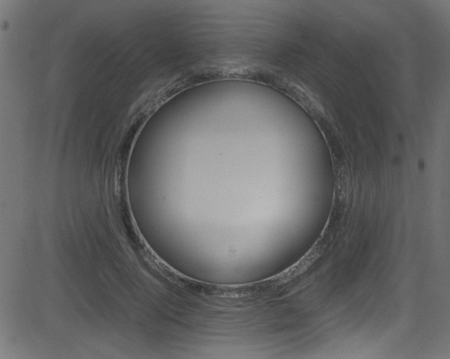X0000081590740200701151025