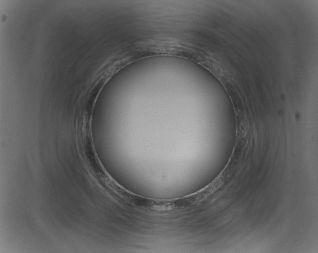 X0000081590744200701151025