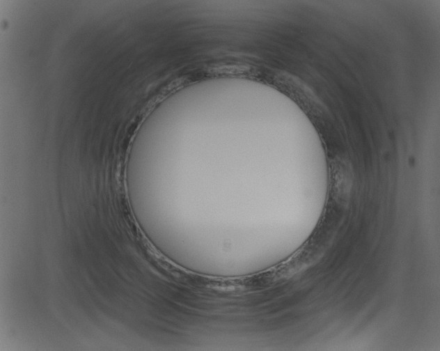 X0000081590745200701151025