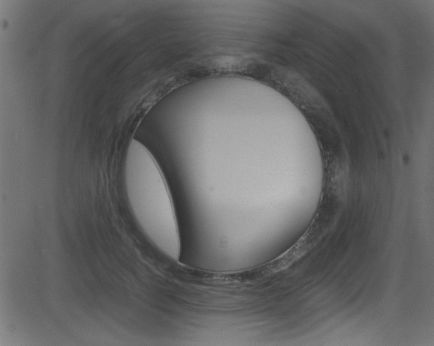 X0000081590746200701151025