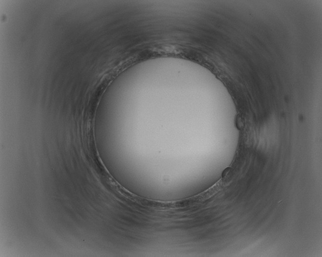 X0000081590747200701151025