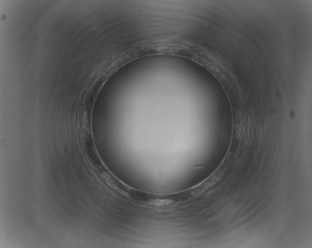 X0000081590748200701151025