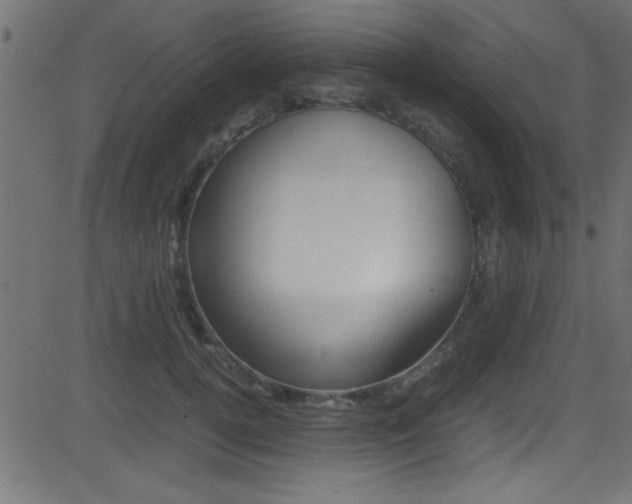 X0000081590752200701151026