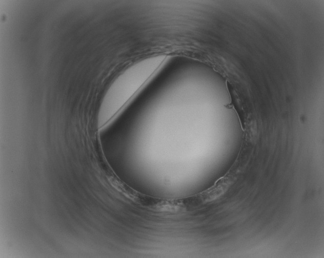 X0000081590756200701151026