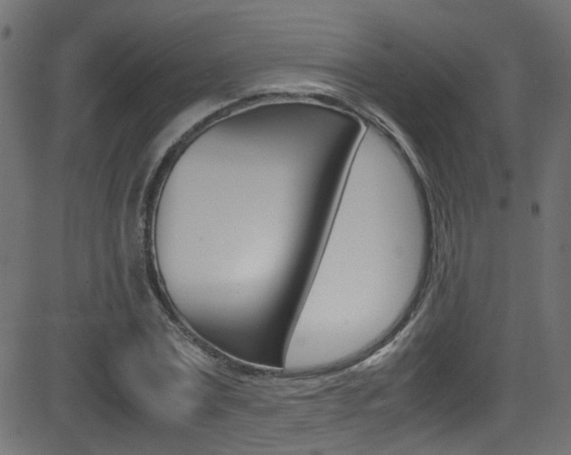 X0000081590779200701151025