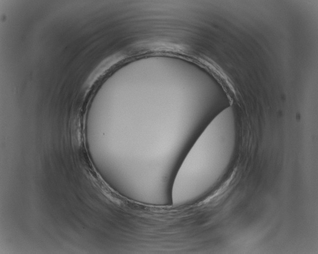X0000081590782200701151025