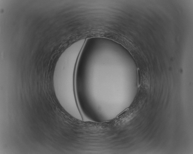 X0000081590818200701151023