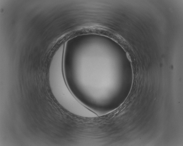 X0000081590822200701151024