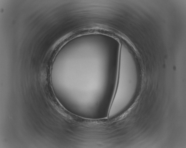 X0000081590826200701151024