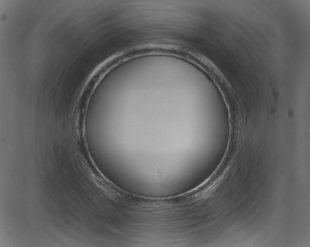 X0000081590830200701151024