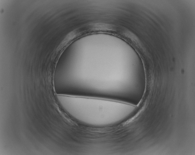 X0000081590833200701151024