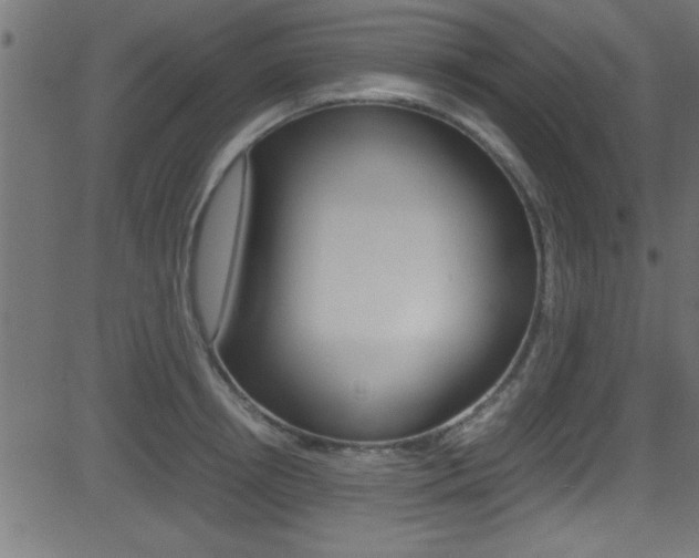 X0000081590850200701151024
