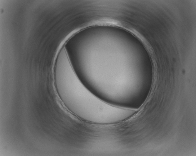 X0000081590864200701151024