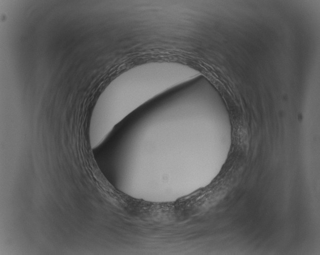 X0000081590865200701151023