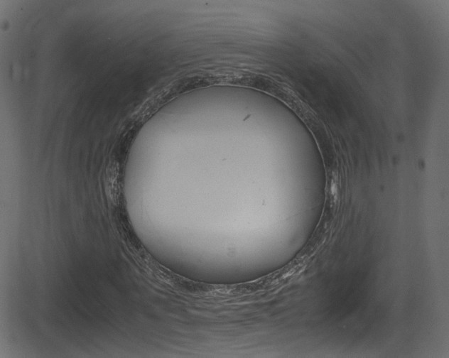 X0000081590867200701151023