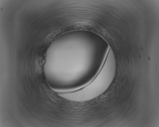 X0000081590868200701151023