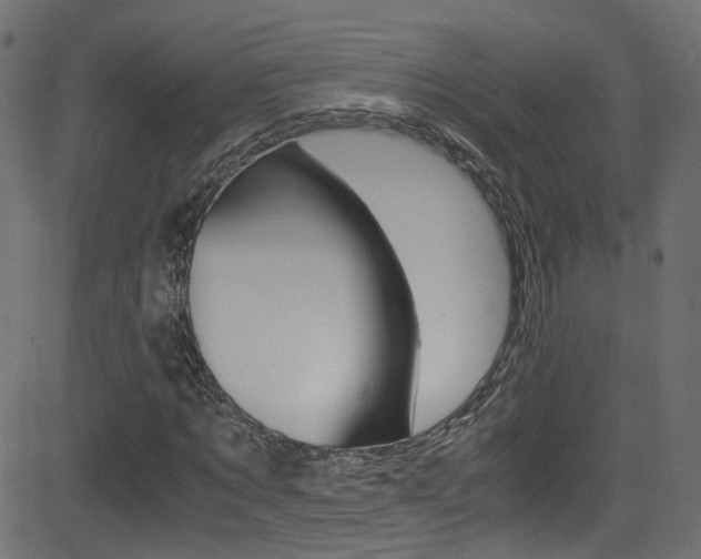 X0000081590869200701151023