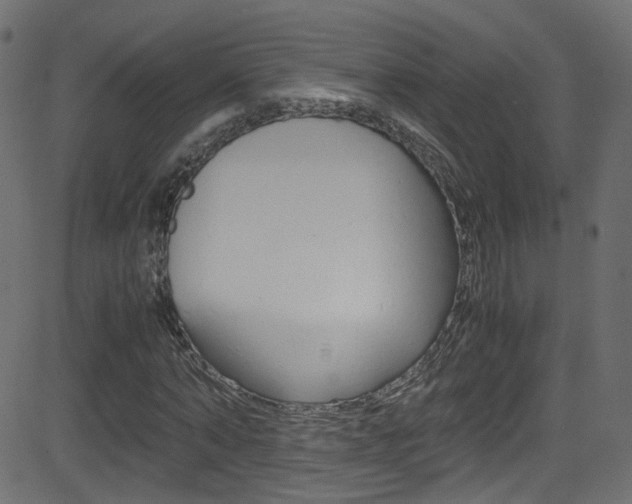 X0000081590870200701151023
